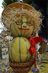 melon hembra.jpg