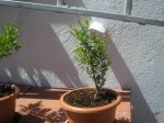 P1010007.JPG
