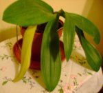 Imagen 042.jpg