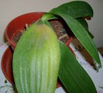 Imagen 046.jpg
