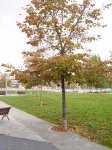PB070007.JPG