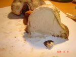 DSC00869.JPG