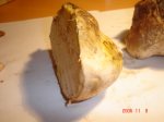 DSC00858.JPG