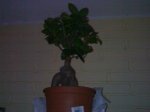 08112006048.jpg