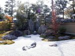 z1.jpg