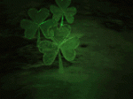 treboles animados.gif
