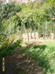 PIC_0040.JPG