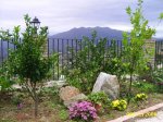 PIC_0080.JPG