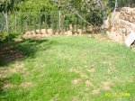 PIC_0038.JPG