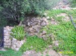 PIC_0070.JPG