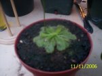 100_1183.JPG