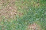 100_3740.JPG