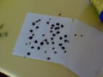 DSC00181.JPG