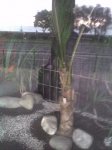Imagen023.JPG