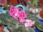 PB160137.JPG