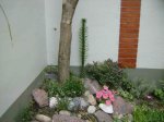 HPIM0582.JPG