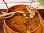 DSC03271.JPG