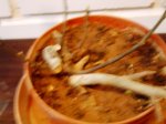 DSC03272.JPG