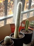IMAG0017.JPG
