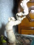 DSC00016.1.JPG