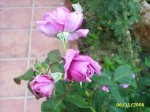 PIC_0059.JPG