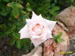 PIC_0055.JPG