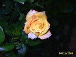 PIC_0118.JPG