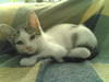 03092007_005_.jpg