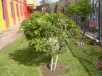DSC00002.JPG