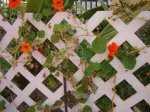 DSC00007.JPG