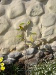 DSC00010.JPG