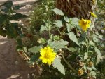 DSC00012.JPG