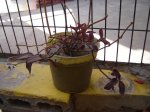 DSC00013.JPG