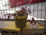 DSC00014.JPG