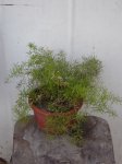 DSC00017.JPG