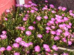 DSC00018.JPG