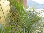 DSC00056.jpg