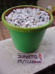juanito.jpg