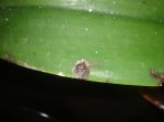 Dsc02764.jpg