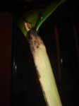 Dsc02766.jpg