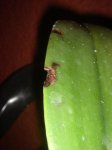 Dsc02768.jpg