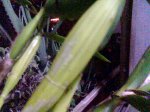 Imagen016.jpg