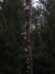pb270098.jpg