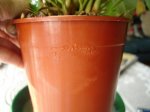 DSC01714.JPG