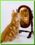 lion.JPG