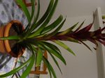 DSC05269.JPG