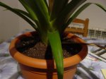 DSC05270.JPG