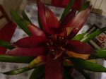 DSC05271.JPG