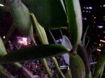 Imagen013.jpg