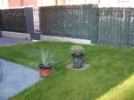 Jardin2.jpg